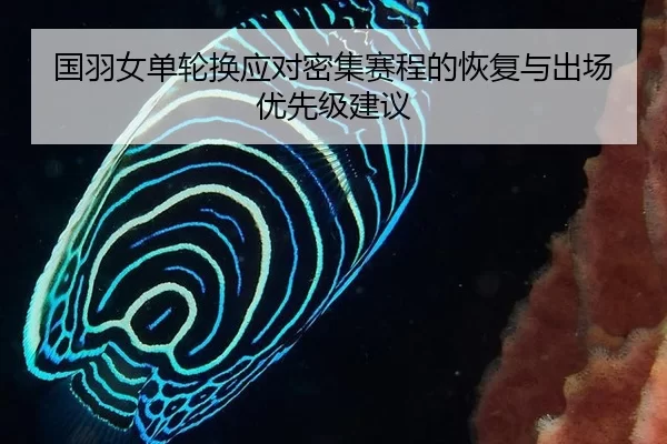 国羽女单轮换应对密集赛程的恢复与出场优先级建议