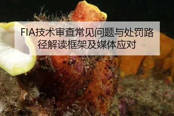 FIA技术审查常见问题与处罚路径解读框架及媒体应对